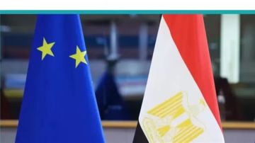 مصر والاتحاد الأوروبي في 2026: شراكة المصالح بين الدعم والانتقاد