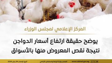 حقيقة ارتفاع أسعار الدواجن نتيجة نقص المعروض منها بالأسواق حقيقة ارتفاع أسعار الدواجن نتيجة نقص المعروض منها بالأسواق