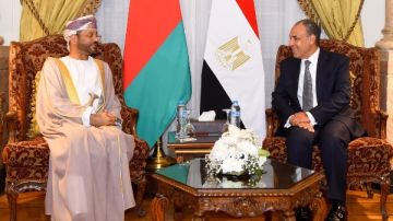 مشاورات مصرية عمانية لبحث أزمات اليمن وفلسطين وقضايا المنطقة