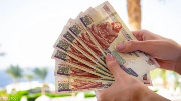 3 شرائح.. خبر سار لربات البيوت للحصول على معاش