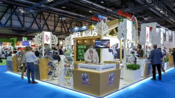 إقبال كبير على الجناح المصري في اليوم الثالث جلفود دبي 2026 إقبال كبير على الجناح المصري في اليوم الثالث جلفود دبي 2026