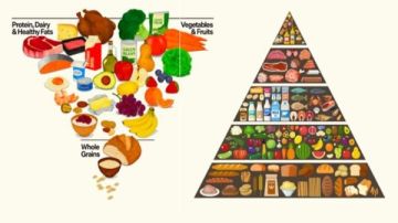 تقليل النشويات وزيادة البروتين.. أسرار النظام الغذائي الجديد شاهد تقليل النشويات وزيادة البروتين.. أسرار النظام الغذائي الجديد شاهد