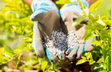 خريطة أسعار الأسمدة بالأسواق والجمعيات الزراعية اليوم الخميس 8 يناير خريطة أسعار الأسمدة بالأسواق والجمعيات الزراعية اليوم الخميس 8 يناير