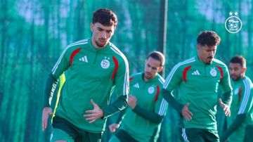 رئيس الوكرة القطري يكشف حقيقة مفاوضات الأهلي لضم رضوان بركاني خاص