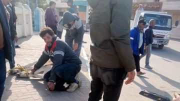 رئيس مدينة مرسى مطروح: استمرار الحملات المكبرة لضبط الماشية والأبقار