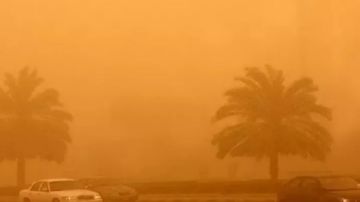 رياح نشطة وأتربة عالقة.. تفاصيل طقس اليوم الثلاثاء 27 يناير 2025 رياح نشطة وأتربة عالقة.. تفاصيل طقس اليوم الثلاثاء 27 يناير 2025