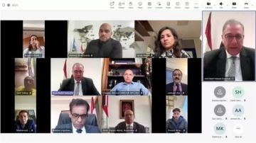 الخارجية: رعاية المصريين بالخارج أولوية وطنية وتواصل دائم مع الجاليات