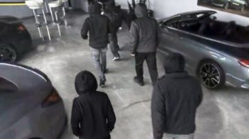 شاهد لصوص يسرقون 8 سيارات رياضية فاخرة