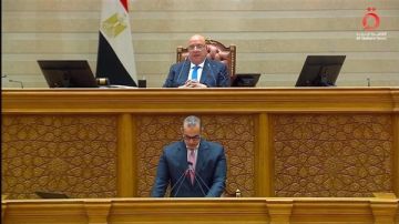 فوزي: مصر نجحت في ترسيخ مبدأ تداول الدورات البرلمانية بانتظام منذ 2015