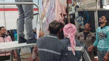 محافظ الوادي الجديد: بدء التشغيل التجريبي لمجزر موط نصف الآلي بالداخلة