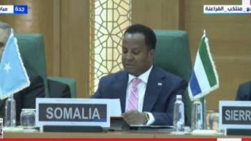 وزير خارجية الصومال: نرفض أي إجراءات او تدابير لتهجير الفلسطينيين وزير خارجية الصومال: نرفض أي إجراءات او تدابير لتهجير الفلسطينيين