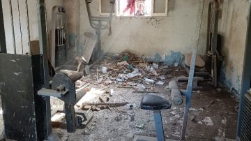 بيت الزواحف والقمامة.. مركز شباب جرزا بالجيزة يتحول إلى بؤرة إهمال تهدد الأرواح