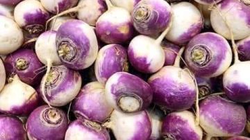 ماذا يحدث لجسمك عند تناول اللفت فوائد مهمة