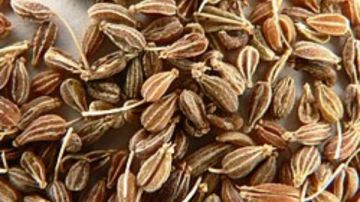 ماذا يحدث للجسم عند تناول اليانسون