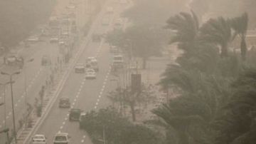 طبيب يقدم روشتة لمرضى حساسية الصدر مع العواصف وتقلبات الجو طبيب يقدم روشتة لمرضى حساسية الصدر مع العواصف وتقلبات الجو