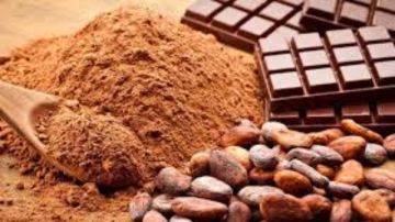 هبوط حاد في أسعار الكاكاو مع لجوء المصدرين للتحوط ضد موسم الحصاد هبوط حاد في أسعار الكاكاو مع لجوء المصدرين للتحوط ضد موسم الحصاد