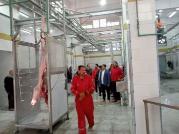 محافظ المنوفية يشدد على المتابعة المستمرة للمجازر لضمان كفاءة تشغيلها لتحسين مستوى الخدمات المقدمة للمواطنين