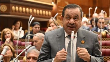 برلماني: تجاوز 3.76 مليون فدان قمح انتصار للإرادة المصرية في معركة السيادة الغذائية