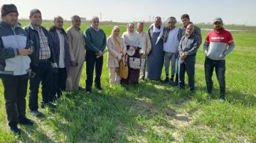 زراعة الإسماعيلية تنفذ مرورا ميدانيا على زراعات الشعير ضمن خطة تحسين الإنتاج الزراعي