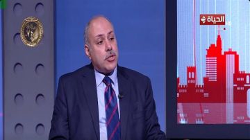 حسن سلامة: مصر ليست وسيطا فقط بل صاحبة القضية الفلسطينية فيديو