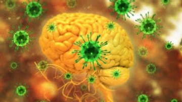 فيروس نيباه.. الأعراض وكيفية الوقاية والعلاج منه