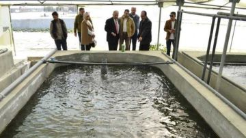 الأوراق المطلوبة للحصول على ترخيص مزرعة سمكية