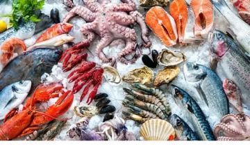 تراجع جماعي في أسعار الأسماك والجمبري بالأسواق.. البلطي يسجل 68 جنيها اليوم السبت 17 يناير