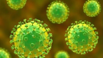 فيروس بلا لقاح.. كيفية تشخيص نيباه وعلاجه