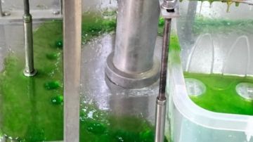 محافظ أسيوط: ضبط مصنع لتعبئة مواد غذائية مخالف لاستخدام بدائل سكر غير مطابقة وطرح منتجات بدون بيانات بمنفلوط