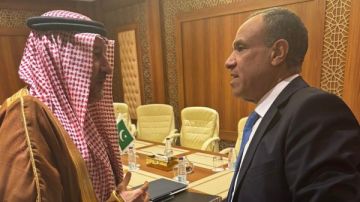 وزير الخارجية: استمرار التنسيق المصري السعودي يدعم أمن واستقرار المنطقة