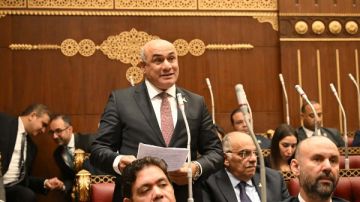 برلماني: انتشار ورد النيل خطر على الأمن المائي ويتطلب مواجهة حاسمة برلماني: انتشار ورد النيل خطر على الأمن المائي ويتطلب مواجهة حاسمة