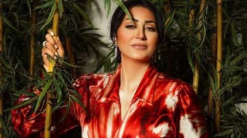 الحياة مش محتاجة حرب.. وفاء عامر في أحدث ظهور على فيسبوك