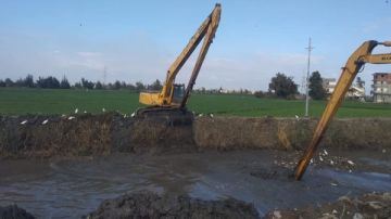 بطول 10كيلو .. محافظ كفر الشيخ يوجه بسرعة تطهير ترعة محرم صور بطول 10كيلو .. محافظ كفر الشيخ يوجه بسرعة تطهير ترعة محرم صور