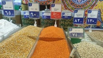 تراجع أسعار البقوليات لأكثر من 40 في بعض الأصناف.. غرفة صناعة الحبوب تكشف