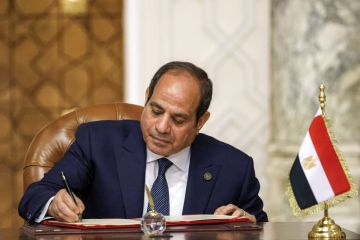 من بينهم سامح شكري.. السيسي يعين 28 عضوا بمجلس النواب إليكم الأسماء