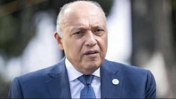 السيرة الذاتية لسامح شكري وزير الخارجية السابق بعد تعيينه بمجلس النواب