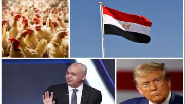 مصطفى بكري: مصر والسعودية صماما أمان الأمة العربية.. تحرك عاجل من وزارة الزراعة لضبط أسعار الدواجن بالأسواق أخبار التوك شو مصطفى بكري: مصر والسعودية صماما أمان الأمة العربية.. تحرك عاجل من وزارة الزراعة لضبط أسعار الدواجن بالأسواق أخبار التوك شو