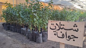  الزراعة تواصل المتابعة الميدانية لمزارع ومشاتل قطاع الإنتاج بالمحافظات