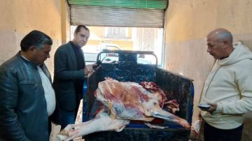 ضبط سلخانة غير مرخصة ولحوم فاسدة في المنوفية