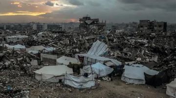 وجدي زين: ينتظر مجلس السلام مهام صعبة في غزة