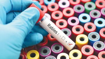 يؤدي للموت فورا .. تحذير مهم عن مرض قاتل ينتقل من القطط والكلاب يؤدي للموت فورا .. تحذير مهم عن مرض قاتل ينتقل من القطط والكلاب