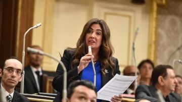 أميرة العادلي ترد على منتقدي طلب إحاطة بشأن الكلاب الضالة: هناك من يستفيد من الوضع