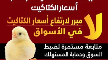 الزراعة: ليس هناك مبرر لارتفاع أسعار الكتاكيت في الأسواق الزراعة: ليس هناك مبرر لارتفاع أسعار الكتاكيت في الأسواق