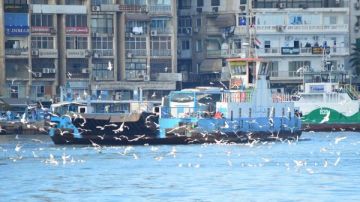 بهنساوي : بورفؤاد أصبحت قبلة الزائرين لمقاصدها السياحية والتجارية