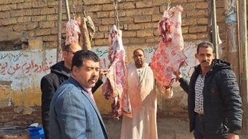 بيطري المنيا: ضبط كميات لحوم غير صالحة وأخرى مذبوحة خارج المجازر