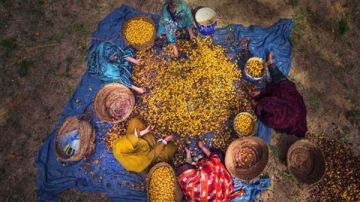 حقيقة استيراد مصر تمور من إسرائيل.. الحكومة تكشف: ننتج 2 مليون طن عاجل حقيقة استيراد مصر تمور من إسرائيل.. الحكومة تكشف: ننتج 2 مليون طن عاجل