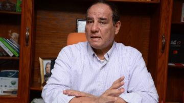 حوار د. ثروت الزيني: وفرة الإنتاج تخفض أسعار الدواجن بأكثر من 30 وخسائر متراكمة تهدد استمرار المربين