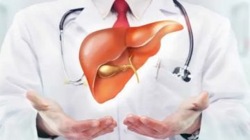 خضار شتوي رخيص يحمي الكبد من مخاطر عديدة.. ما هو؟