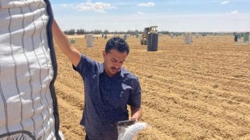 معمل البطاطس: فحص 35 ألف طن مائدة و109 ألف طن تقاوي خلال 3 أشهر معمل البطاطس: فحص 35 ألف طن مائدة و109 ألف طن تقاوي خلال 3 أشهر