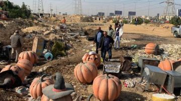 جهاز حدائق أكتوبر يواصل حملات إزالة الإشغالات بالمدينة .. صور